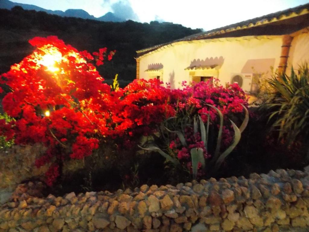 Casale Del Golfo Guest House Кастеламаре дел Голфо Екстериор снимка